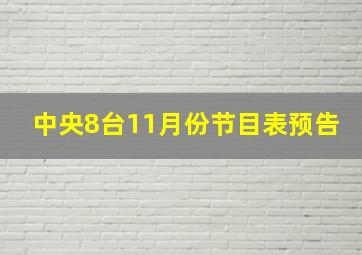 中央8台11月份节目表预告