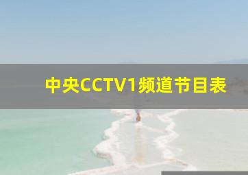 中央CCTV1频道节目表