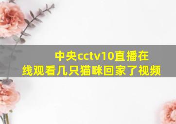 中央cctv10直播在线观看几只猫咪回家了视频