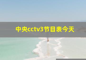 中央cctv3节目表今天