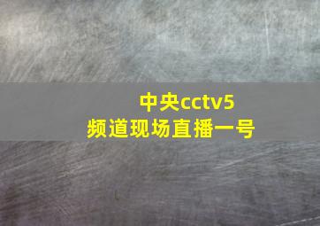 中央cctv5频道现场直播一号