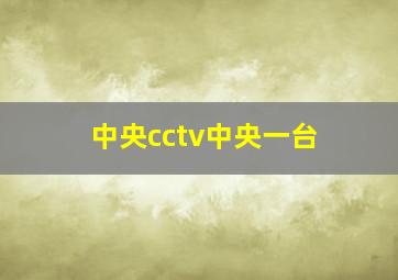 中央cctv中央一台