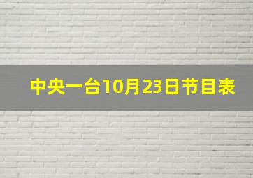 中央一台10月23日节目表