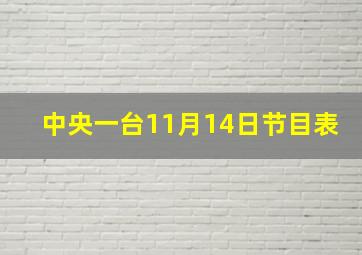 中央一台11月14日节目表