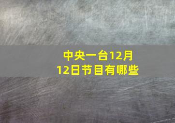 中央一台12月12日节目有哪些