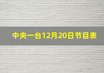 中央一台12月20日节目表