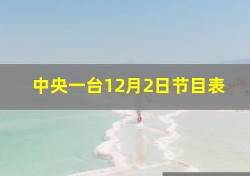 中央一台12月2日节目表