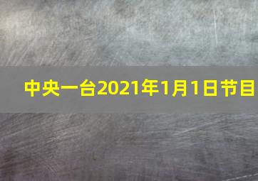 中央一台2021年1月1日节目