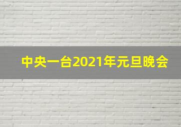 中央一台2021年元旦晚会