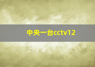 中央一台cctv12