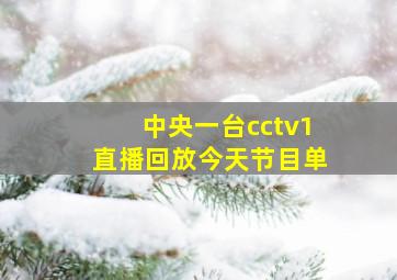 中央一台cctv1直播回放今天节目单