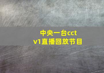 中央一台cctv1直播回放节目