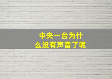 中央一台为什么没有声音了呢