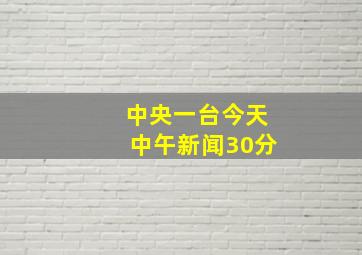 中央一台今天中午新闻30分