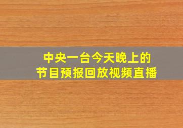 中央一台今天晚上的节目预报回放视频直播