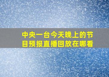 中央一台今天晚上的节目预报直播回放在哪看