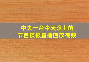 中央一台今天晚上的节目预报直播回放视频