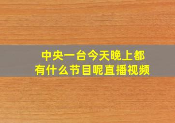 中央一台今天晚上都有什么节目呢直播视频