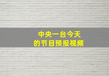 中央一台今天的节目预报视频