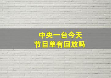 中央一台今天节目单有回放吗