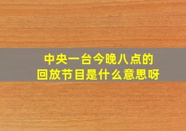 中央一台今晚八点的回放节目是什么意思呀