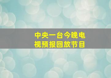 中央一台今晚电视预报回放节目