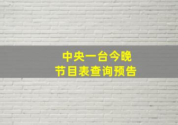 中央一台今晚节目表查询预告