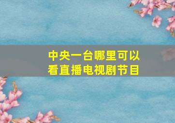 中央一台哪里可以看直播电视剧节目