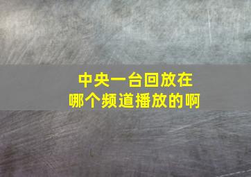 中央一台回放在哪个频道播放的啊