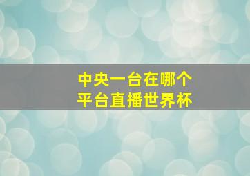 中央一台在哪个平台直播世界杯