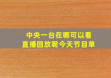 中央一台在哪可以看直播回放呢今天节目单