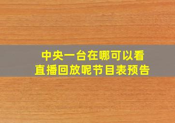 中央一台在哪可以看直播回放呢节目表预告