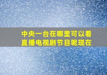 中央一台在哪里可以看直播电视剧节目呢现在