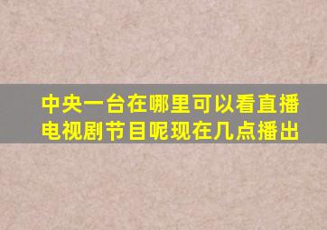 中央一台在哪里可以看直播电视剧节目呢现在几点播出