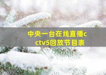 中央一台在线直播cctv5回放节目表