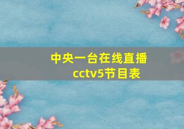 中央一台在线直播cctv5节目表