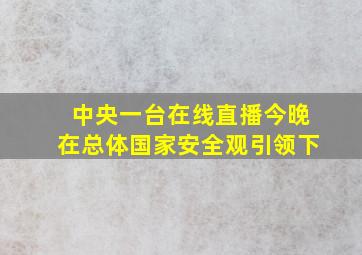 中央一台在线直播今晚在总体国家安全观引领下