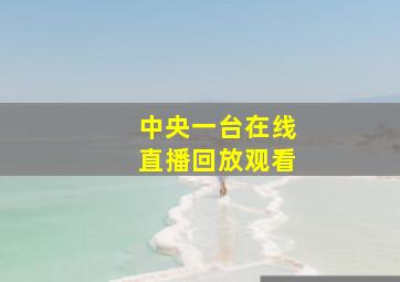 中央一台在线直播回放观看