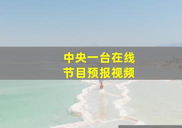 中央一台在线节目预报视频