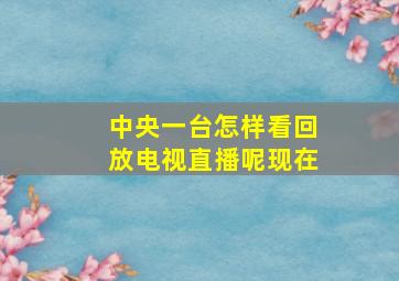 中央一台怎样看回放电视直播呢现在