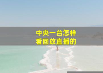 中央一台怎样看回放直播的