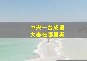 中央一台成语大赛在哪里看