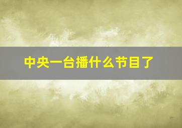 中央一台播什么节目了