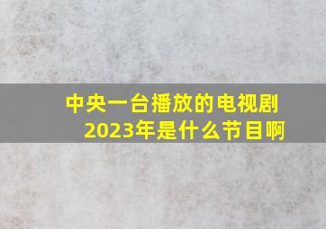 中央一台播放的电视剧2023年是什么节目啊