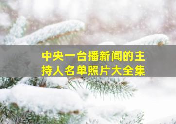 中央一台播新闻的主持人名单照片大全集