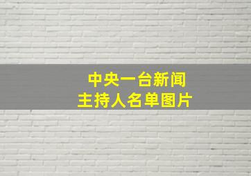 中央一台新闻主持人名单图片