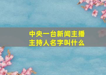 中央一台新闻主播主持人名字叫什么