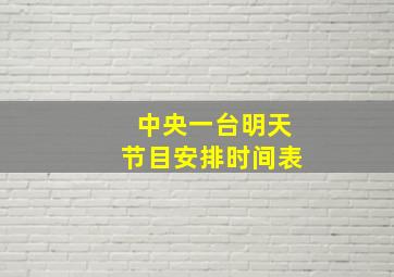 中央一台明天节目安排时间表