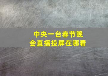 中央一台春节晚会直播投屏在哪看