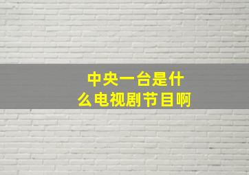 中央一台是什么电视剧节目啊